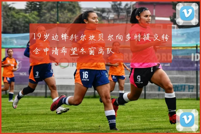 19岁边锋科尔坎贝尔向多特提交转会申请希望冬窗离队